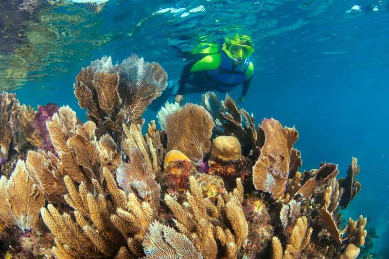 Cancun: Snorkeling Tour at MUSA The Underwater Museum - Conditions, comfort, and safety