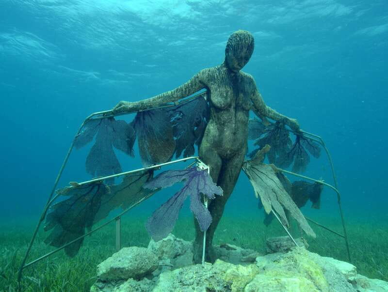 Cancun: Snorkeling Tour at MUSA The Underwater Museum - What to pack for a sunscreen-free morning