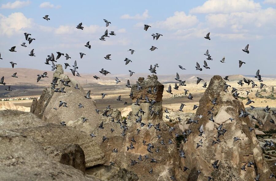 Cappadocia Green Tour (Includes lunch and museum tickets) - Ihlara Valley supplies the day’s real walk