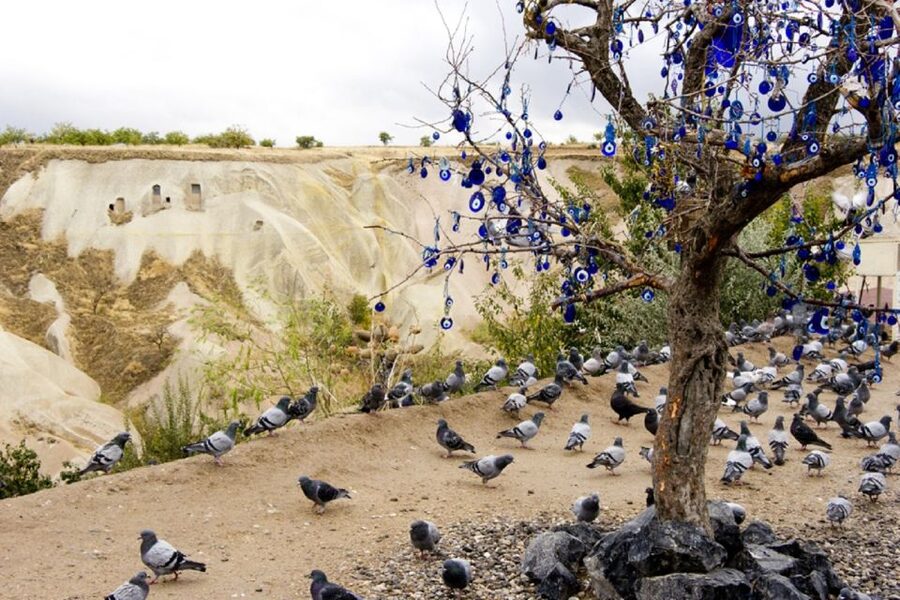 Cappadocia: Green Tour with Entry Fees and Lunch - Lunch in the valley is convenient, but drinks cost extra