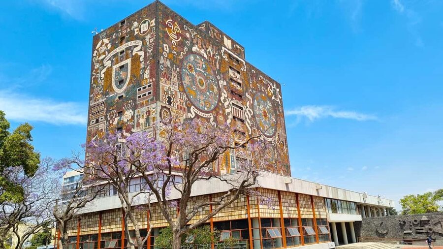 CDMX: Coyoacán, UNAM, Xochimilco, and optional Frida Kahlo Museum - What to bring and how to choose the right package