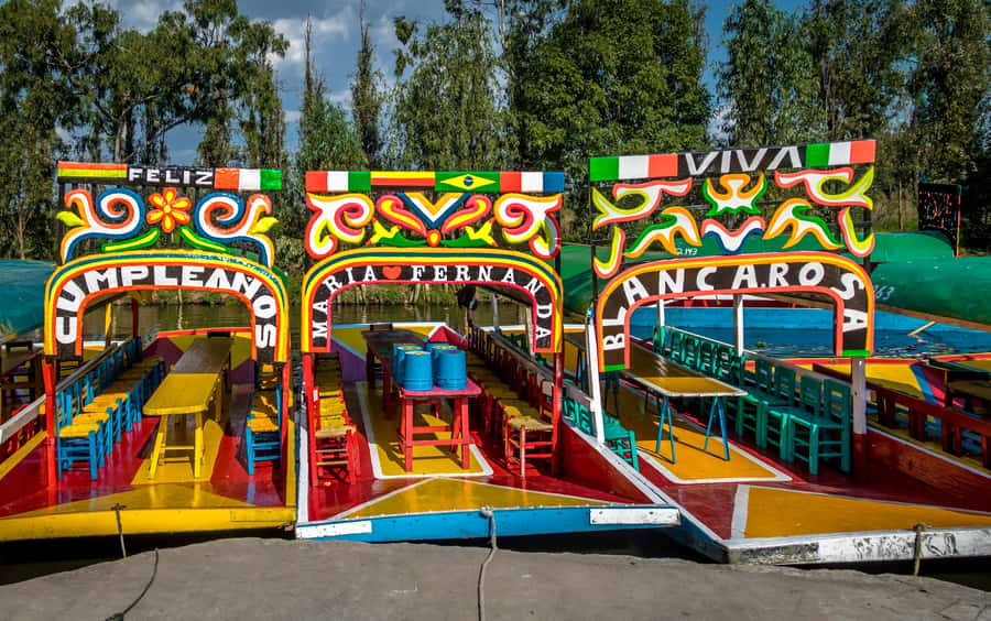 CDMX: Tour of Xochimilco and Coyoacán with option to visit the Frida Kahlo Museum - Coyoacán’s cobbled streets and colonial houses