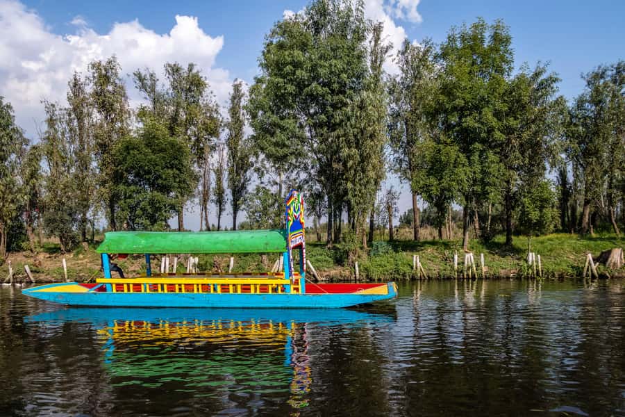 CDMX: Tour of Xochimilco and Coyoacán with option to visit the Frida Kahlo Museum - UNAM’s murals and the Olympic Stadium