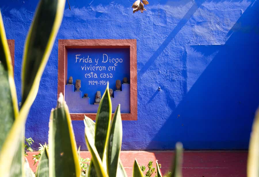 CDMX: Tour of Xochimilco and Coyoacán with option to visit the Frida Kahlo Museum - Transport, timing, and the real value of $95