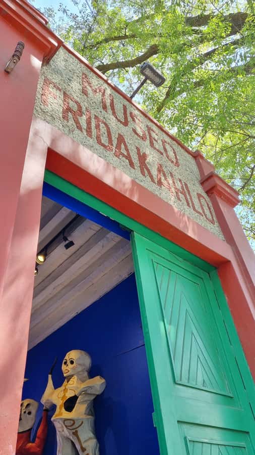 CDMX: Tour of Xochimilco and Coyoacán with option to visit the Frida Kahlo Museum - The morning ride south and the artisan cooperative
