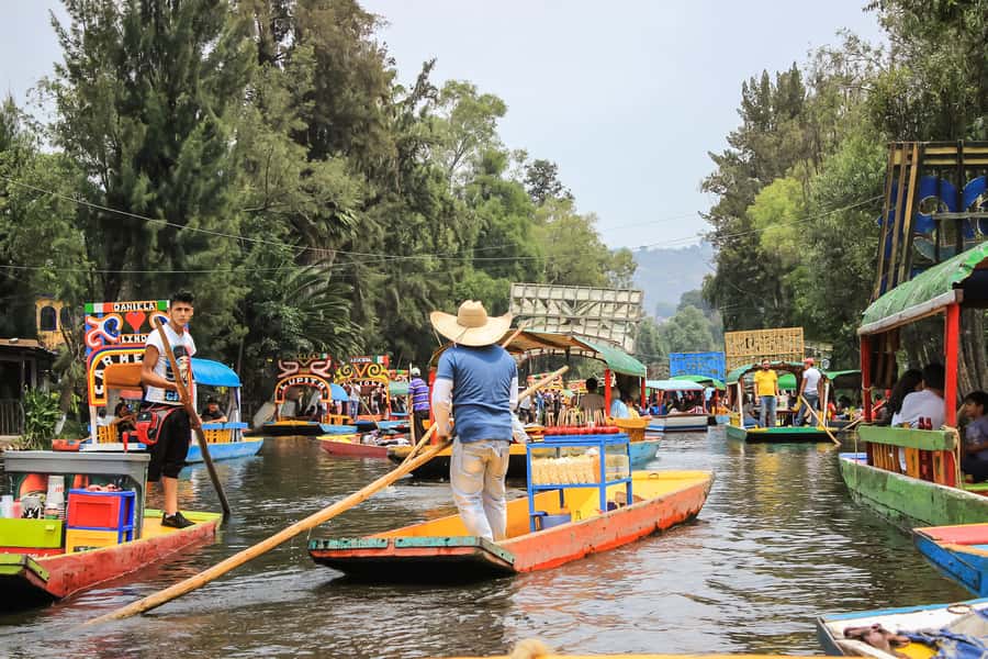 CDMX: Xochimilco, Coyoacan, Frida Kahlo Museum & Murals Tour - UNAM murals, Central Library, and the Olympic Stadium