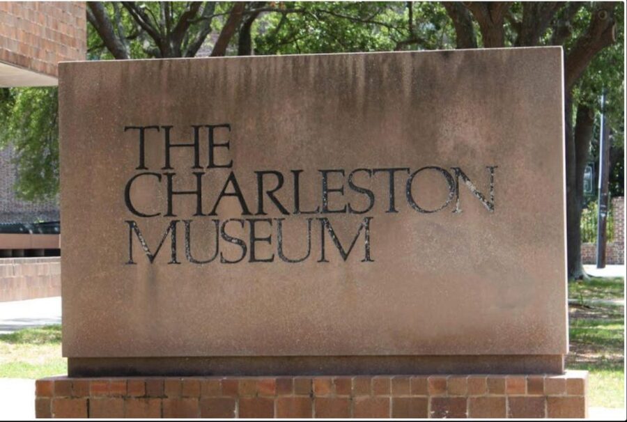 Charleston: City Tour with Charleston Museum Entry Combo - Rainbow Row and Charleston’s historic churches