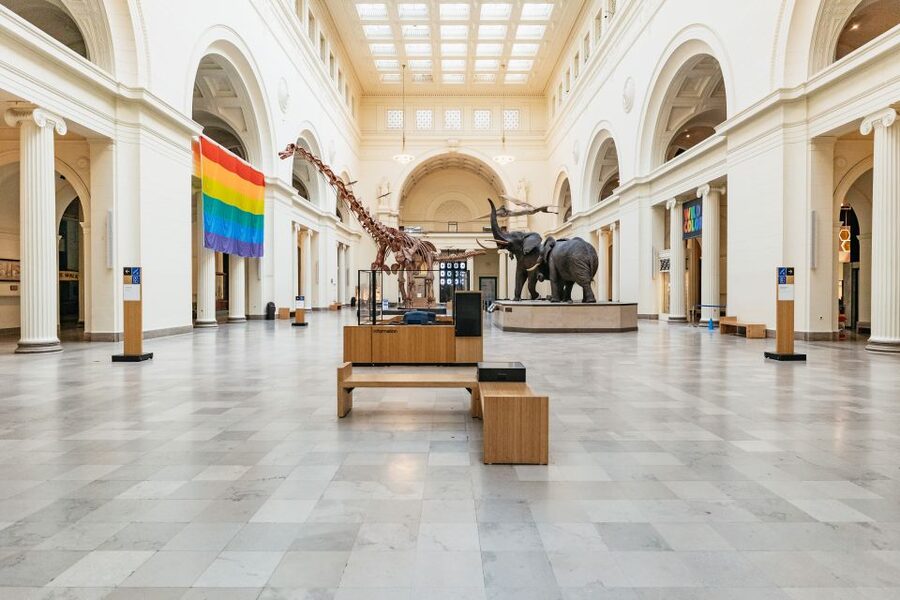 Chicago: Field Museum of Natural History Ticket or VIP Tour - Key points to know before you go