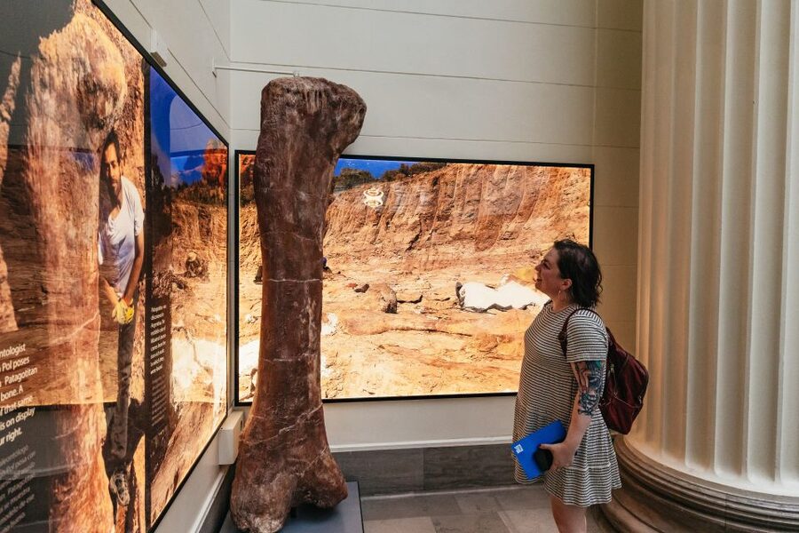 Chicago: Field Museum of Natural History Ticket or VIP Tour - Why Sue is only the start