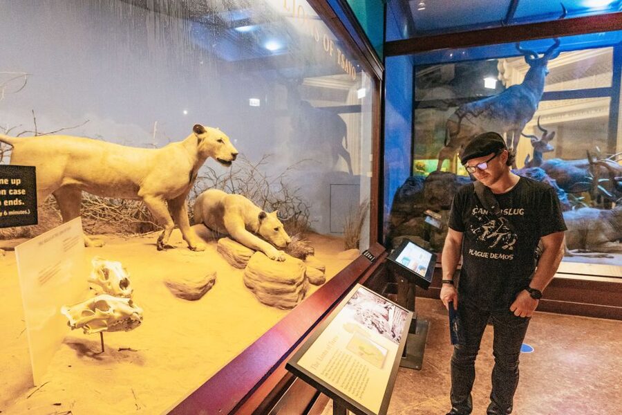 Chicago: Field Museum of Natural History Ticket or VIP Tour - Ancient Egypt, the Americas, and global cultures