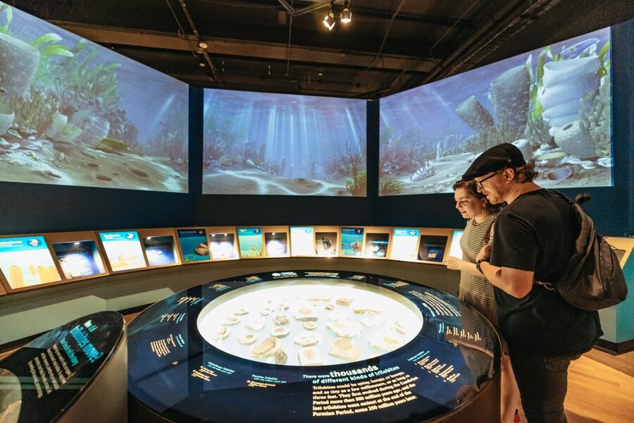 Chicago: Field Museum of Natural History Ticket or VIP Tour - Gems, jade, and life below your feet
