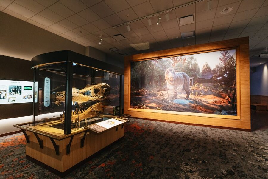 Chicago: Field Museum of Natural History Ticket or VIP Tour - How much time should you allow?