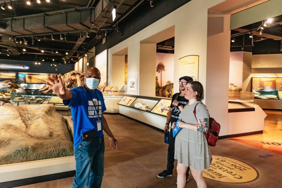 Chicago: Field Museum of Natural History Ticket or VIP Tour - Food, parking, and small practical details