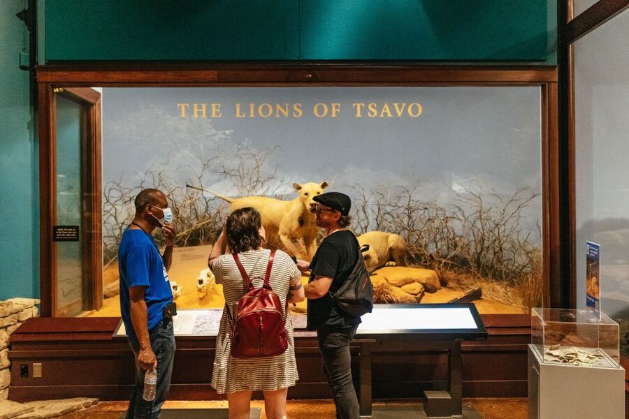 Chicago: Field Museum of Natural History Ticket or VIP Tour - Choosing the right ticket option