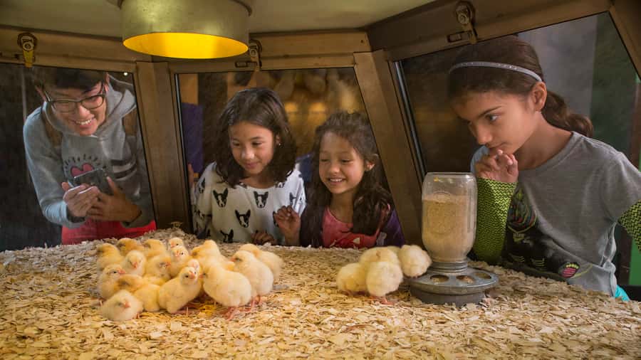 Chicago: Griffin Museum of Science and Industry Ticket - Spider-Man adds popular culture to the science museum
