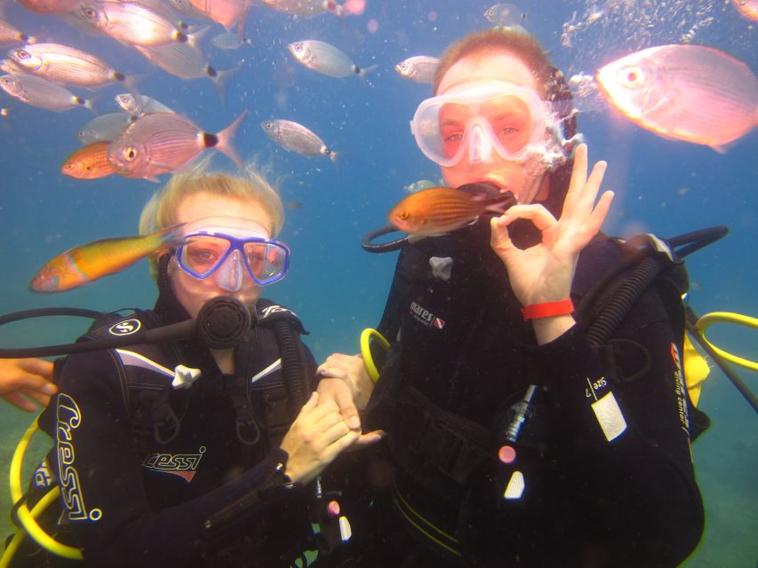 City of Side: Underwater Museum Scuba Diving Visit - Should you book the Side Underwater Museum?