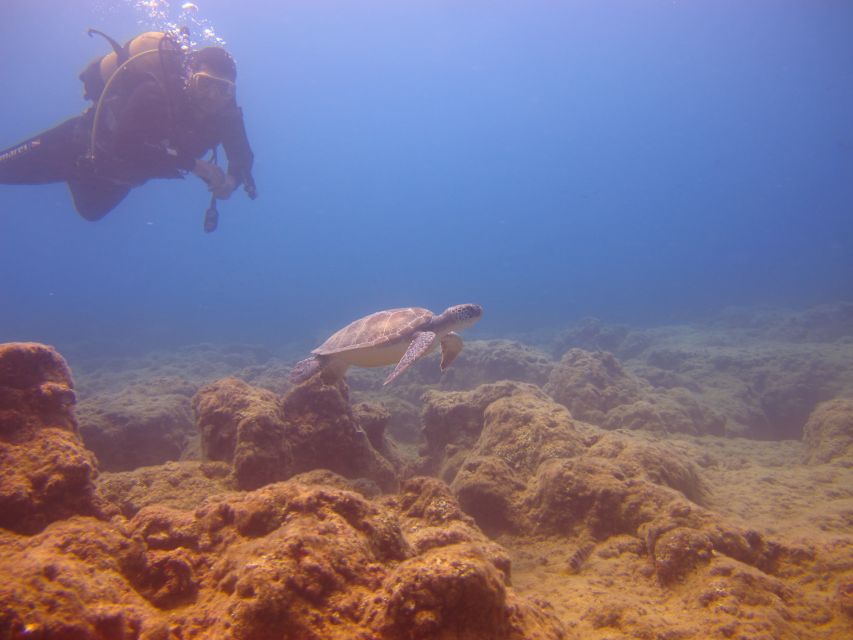 City of Side: Underwater Museum Scuba Diving Visit - The second 20-minute session