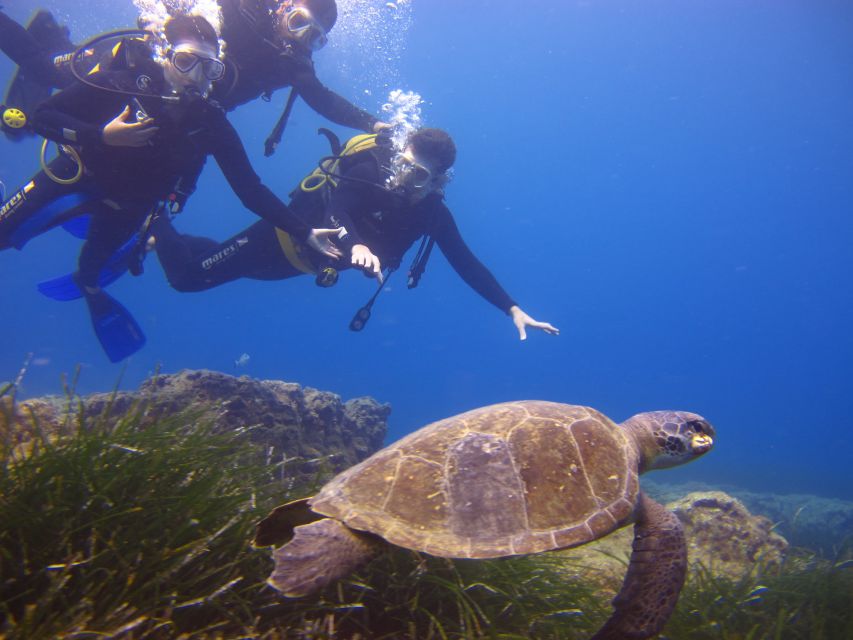 City of Side: Underwater Museum Scuba Diving Visit - Snorkeling for younger participants and non-divers