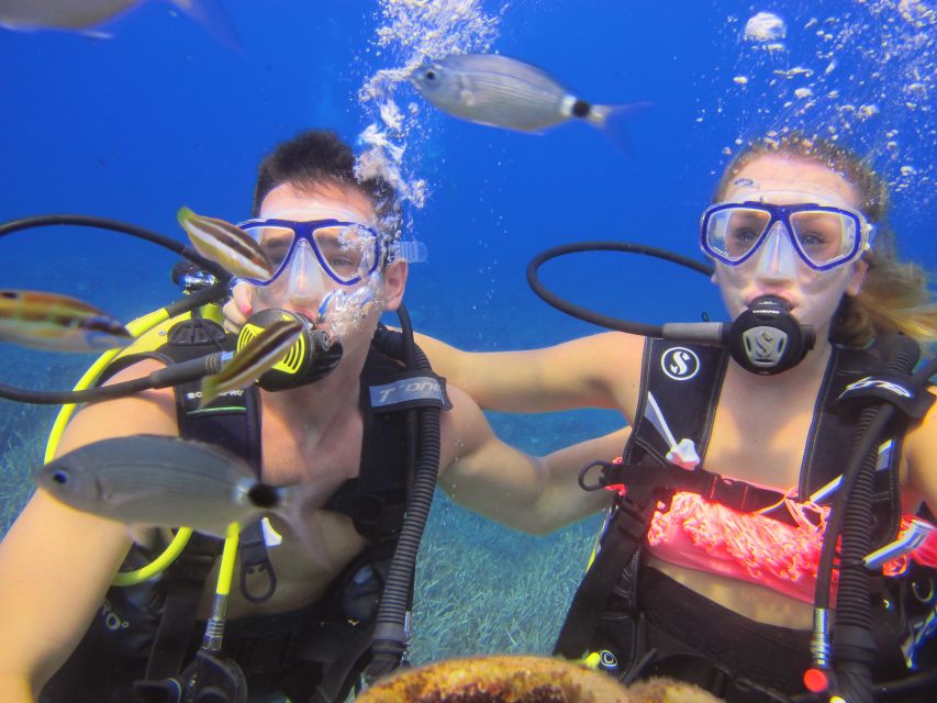 City of Side: Underwater Museum Scuba Diving Visit - Is $50 good value for seven and a half hours?