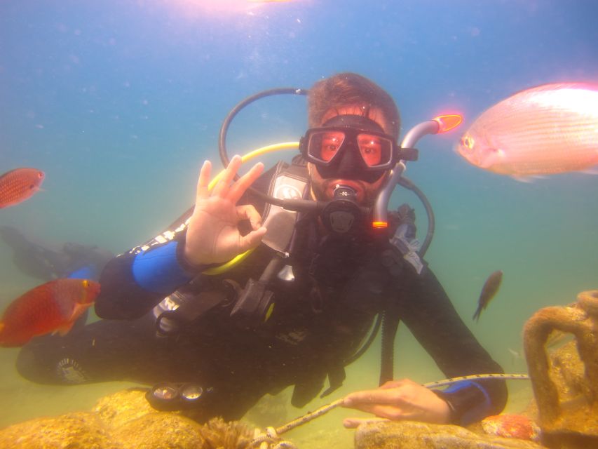 City of Side: Underwater Museum Scuba Diving Visit - Who should book this Side boat trip?