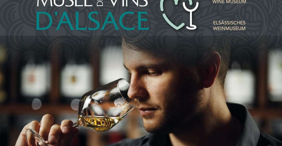 Colmar: Alsace Wine Museum Entrance Ticket - Key points to know before you go