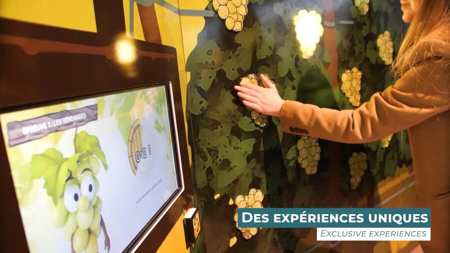 Colmar: Alsace Wine Museum Entrance Ticket - Is $14 a good value?