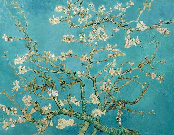 Combo Ticket: Van Gogh Museum Ticket and 1-Hour Canal Cruise - Finding the cruise booking office after the museum