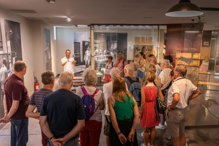 Confiserie du Roy René: gourmet guided tour of the calisson museum - The first tasting: begin with the sweet itself