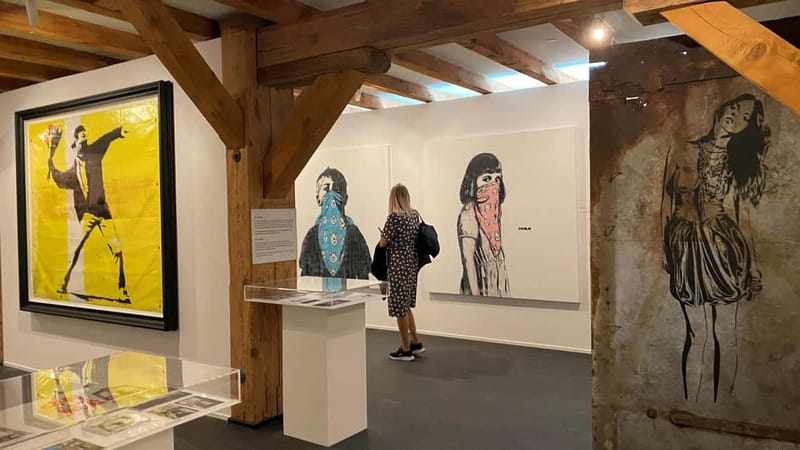 Copenhagen: MACA Museum: Banksy & Street Art Entry Ticket - What you see inside MACA Museum