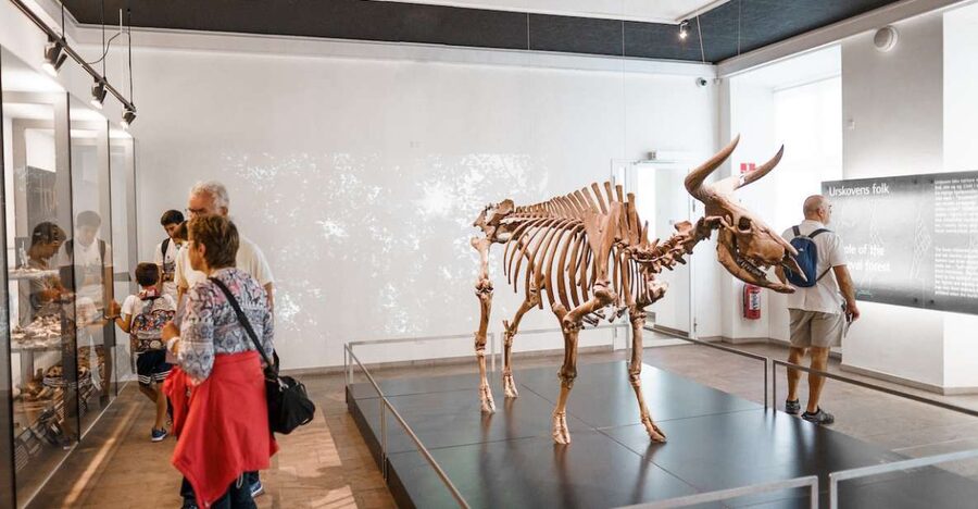 Copenhagen: National Museum of Denmark Entry Ticket - Key Points Before You Go