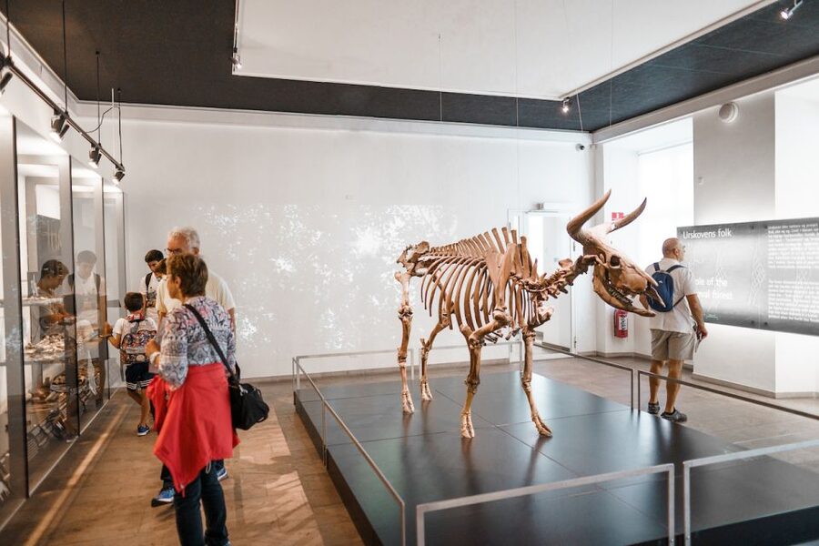 Copenhagen: National Museum of Denmark Entry Ticket - Bronze Age Treasures Worth Seeking Out