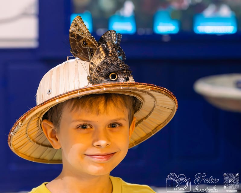 Cracow: 4 Mazes and Living Butterfly Museum Entry Ticket - The Mirror Maze: reflections and lost bearings