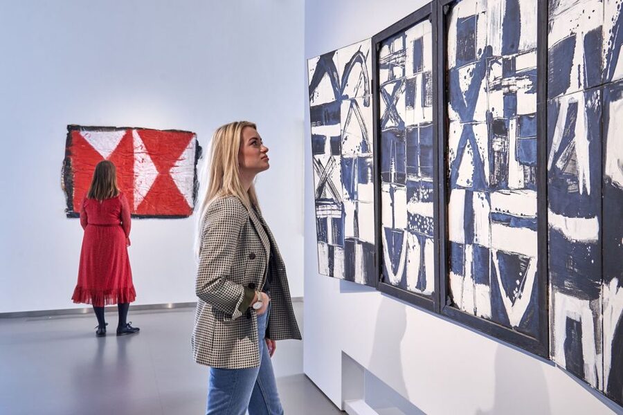 Den Bosch: Het Noordbrabants Museum Entry Ticket - Is $20 a fair price?