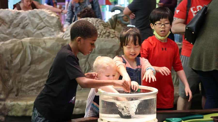Denver: Museum of Nature and Science Entry Ticket - Key points to know before you go