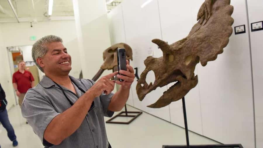 Denver: Museum of Nature and Science Entry Ticket - A full day among fossils, forests, and stars