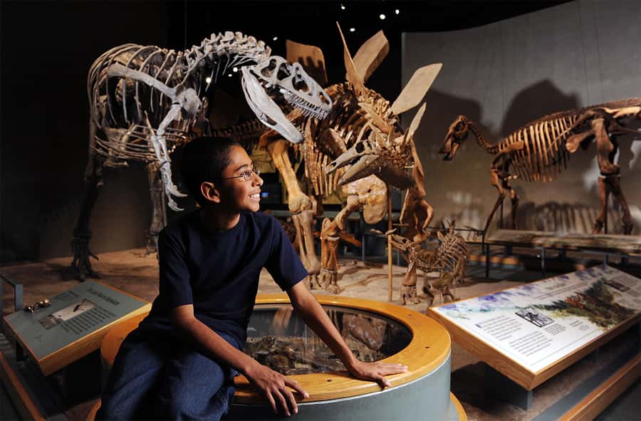 Denver: Museum of Nature and Science Entry Ticket - Dinosaurs and ancient worlds