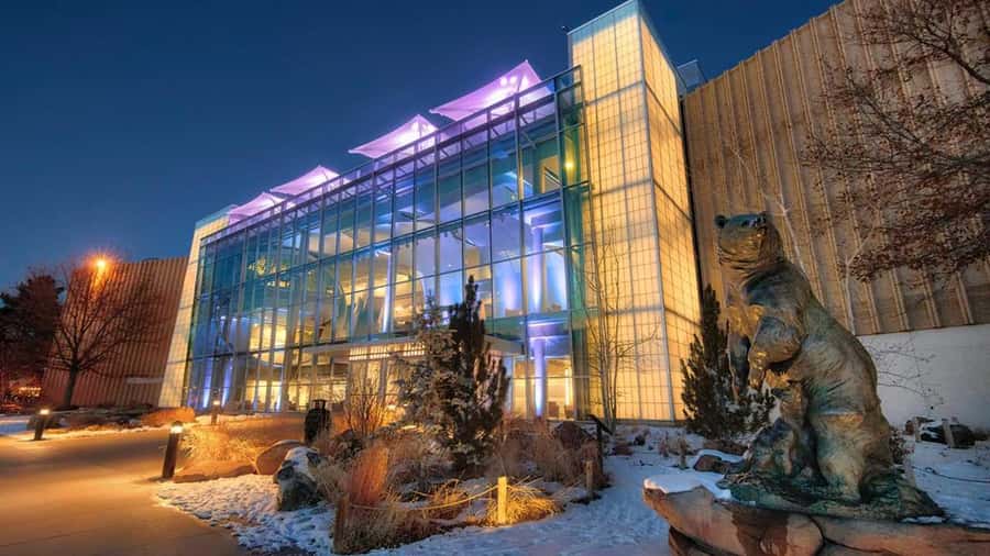 Denver: Museum of Nature and Science Entry Ticket - Interactive play for children, with enough substance for adults