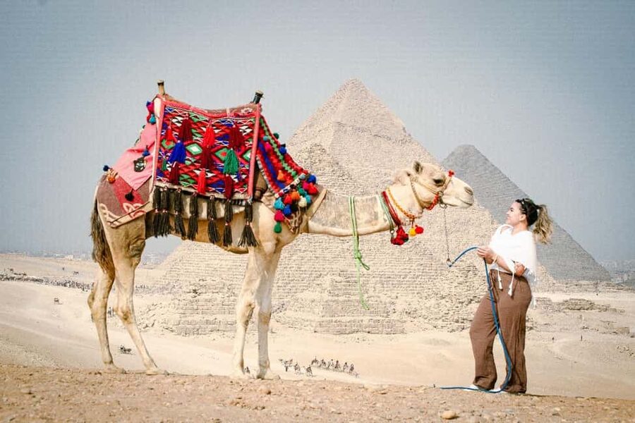 Discover Cairo: Pyramids, Museum & Sphinx Tour from Hurghada - My verdict on the $82 price