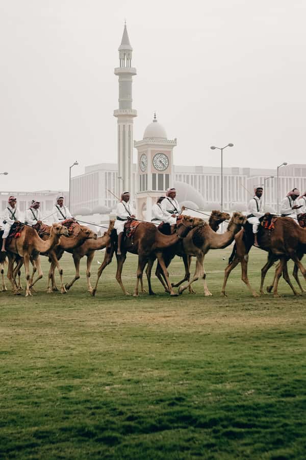 Doha: Visit Souq Waqif, Katara, Pearl, Museum, Cornishe - A short look at the Doha Corniche
