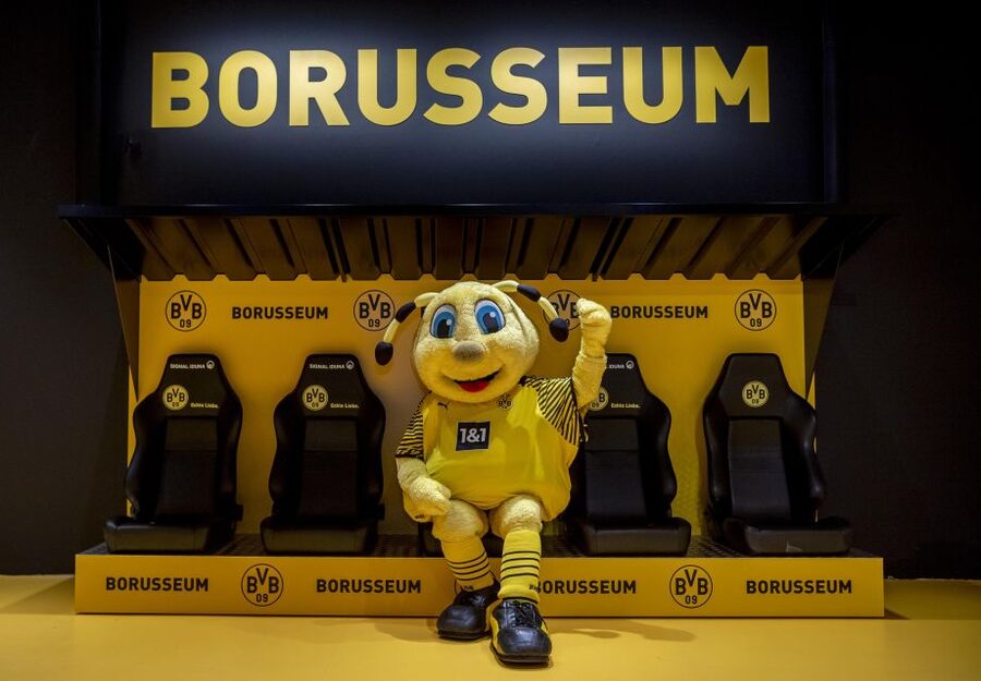 Dortmund: Borusseum Borussia Dortmund Museum Entry Ticket - Key points at a glance