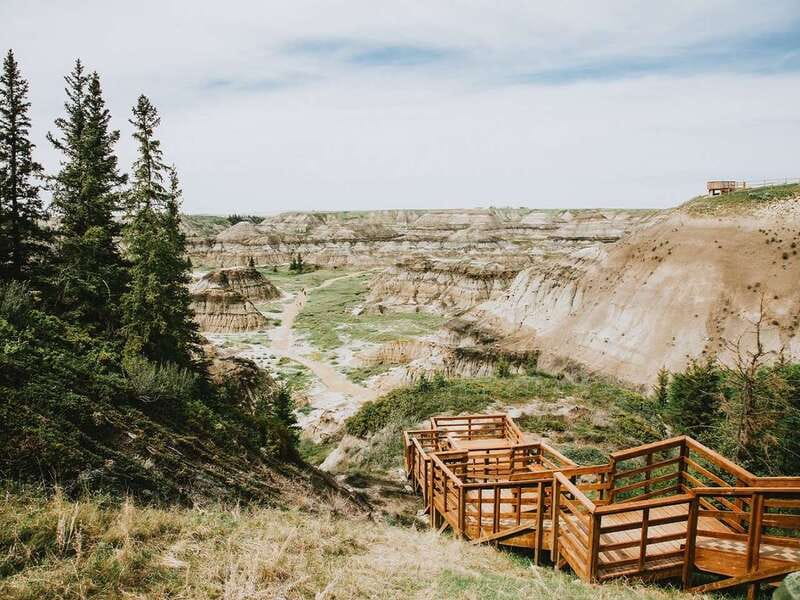 Drumheller: Bad Land & Dinosaur Museum Tour from Calgary - Ninety minutes inside the Royal Tyrrell Museum