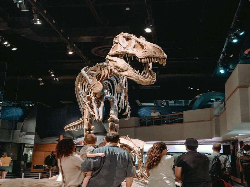 Drumheller: Bad Land & Dinosaur Museum Tour from Calgary - Hoodoos Trail and the stone columns