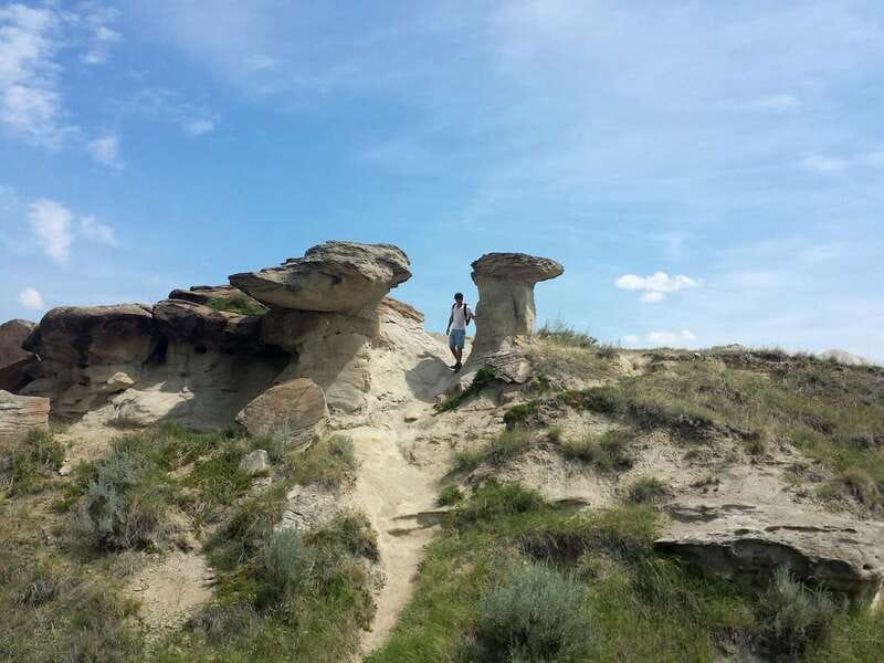 Drumheller: Bad Land & Dinosaur Museum Tour from Calgary - What the $105 price covers