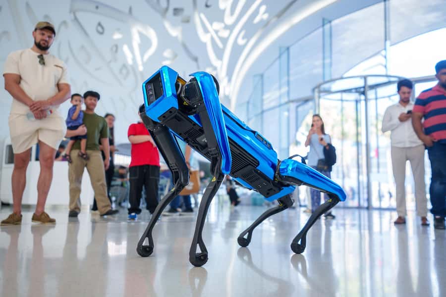Dubai: Museum of the Future Admission Ticket - The DNA store and the museum’s more playful side