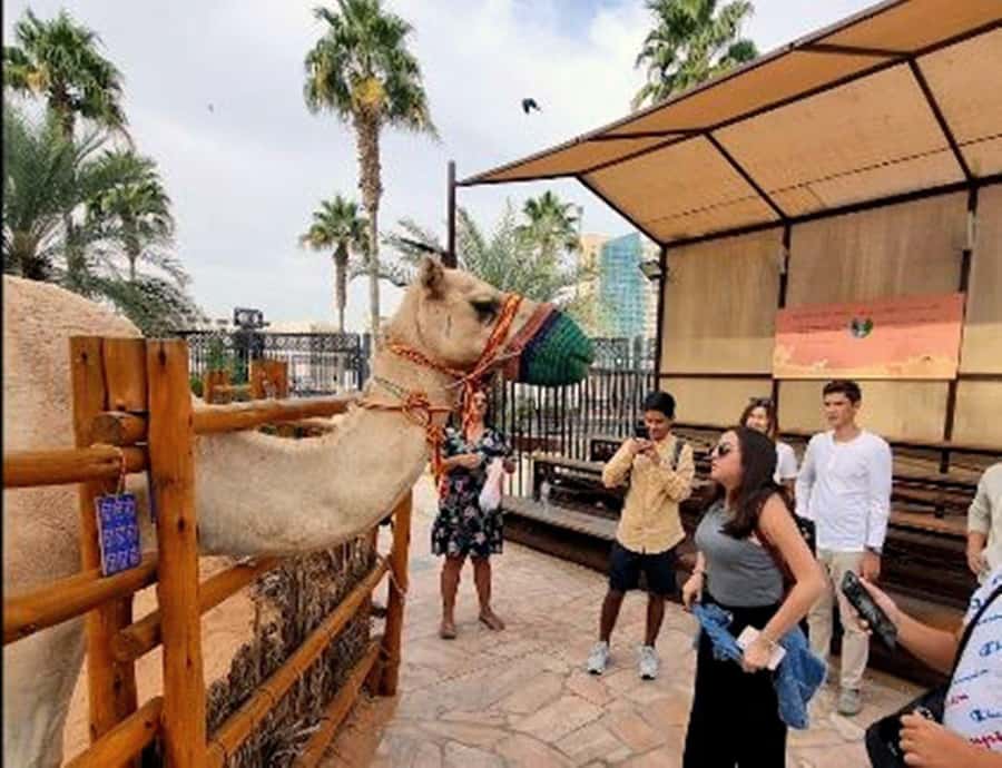 Dubai: Top Must-See Sights Tour with Burj Khalifa At The Top - Gold, Spice, and Textile Souks