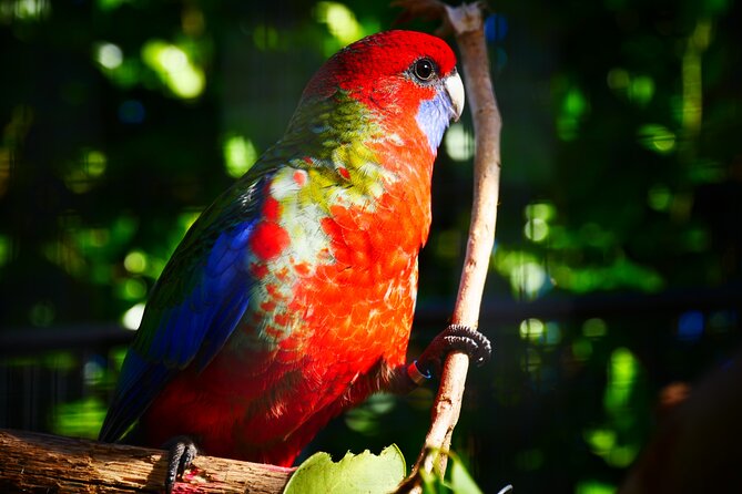 Explore gardens & galleries filled with incredible art, Matakana - What the $40 ticket is really buying