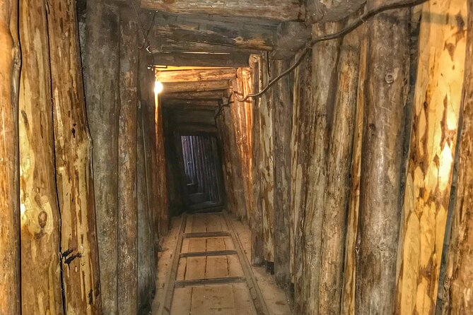 Fall of Yugoslavia, Sarajevo War Tour with Tunnel of Hope Museum and Frontlines - Gavrilo Princip and the longer story of Sarajevo