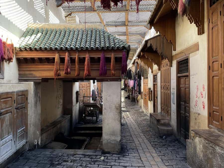Fes: Museum, Al Attarine Madrasa & Tannery and Medina Tour - Chouara Tannery and the realities of a working craft