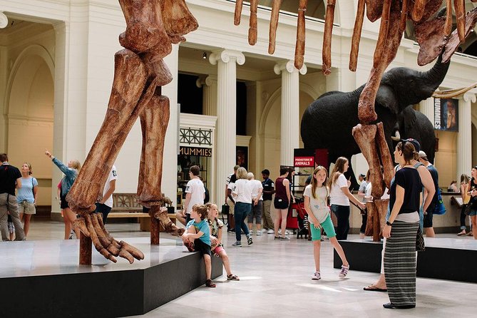 Field Museum of Natural History Admission Tickets - Underground Adventure changes your point of view