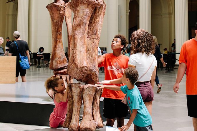 Field Museum of Natural History Admission Tickets - What the $29 admission includes